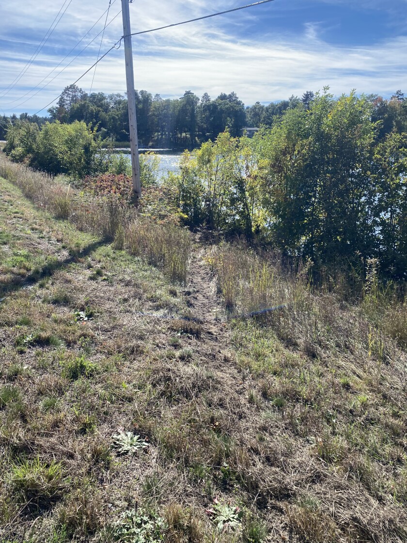 Grass is disturbed near the shore of a lake where a crash occurred