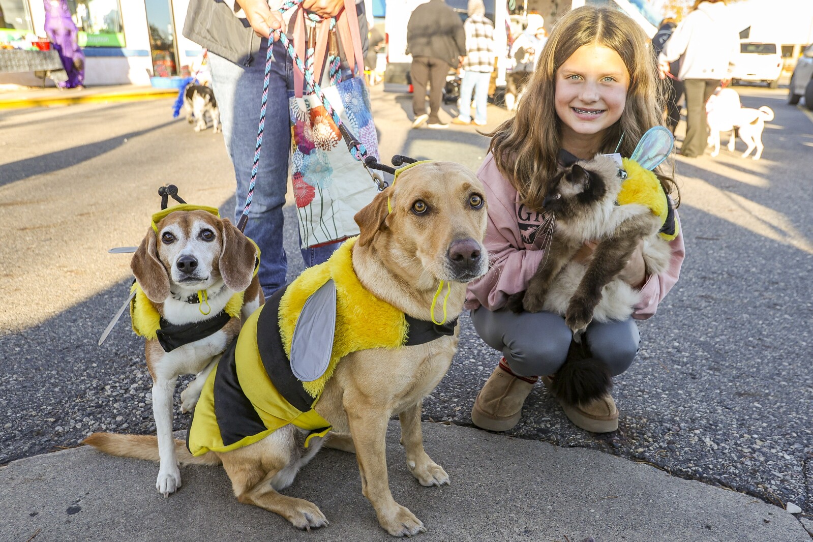 Photos: Pets get festive for Halloween - Fargo - InForum