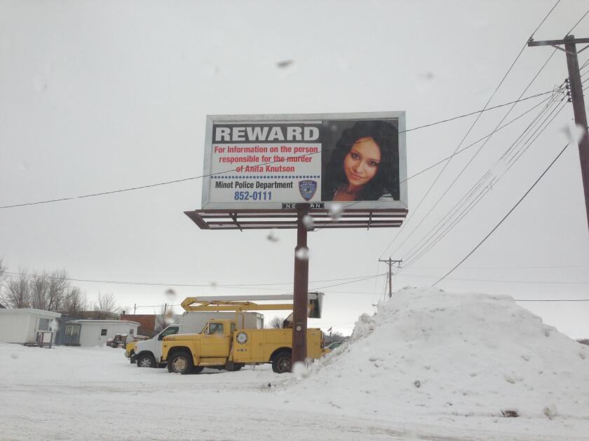 Anita Billboard 2013 .jpeg