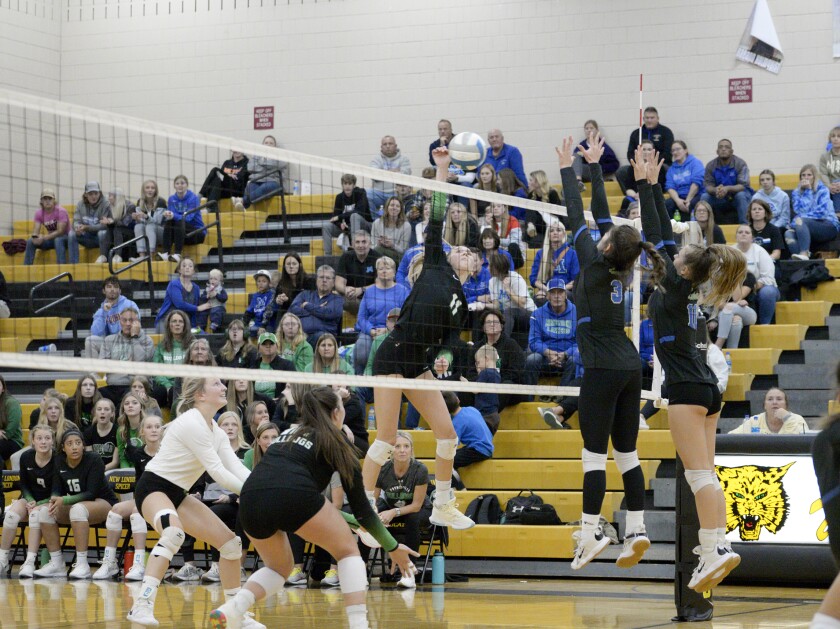 Minnewaska vs. Paynesville 110322.007.jpg