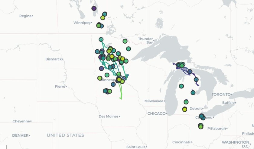 081520.O.GFH.MNSWANS-Photo 4 trumpeter swan map.jpg