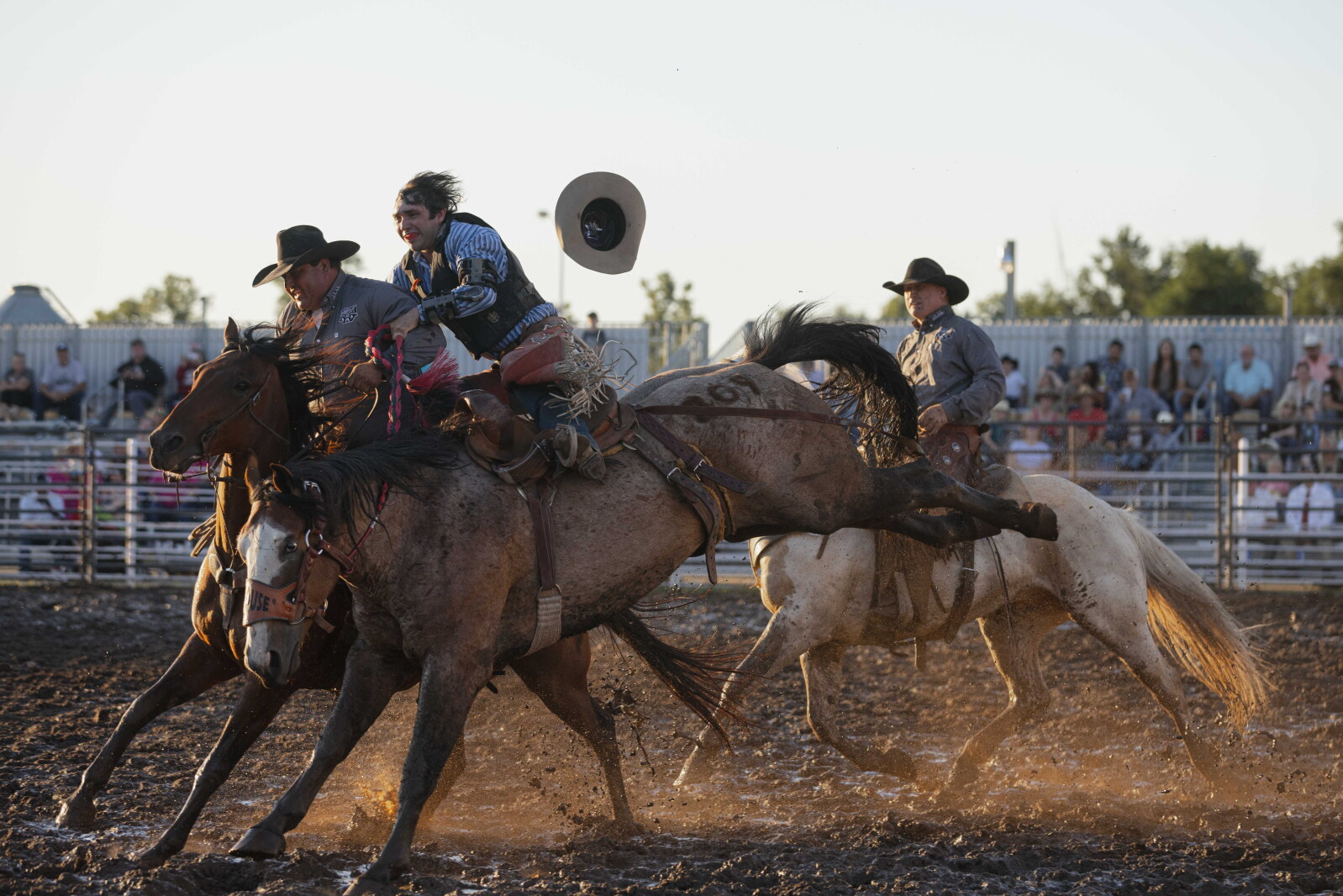 PHOTOS: Shootout at the Lake Rodeo delivers muddy mayhem - Mitchell ...