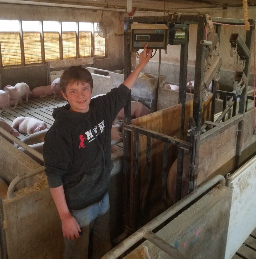 050220.B.FF.MEATFOODCHAIN04.jpg