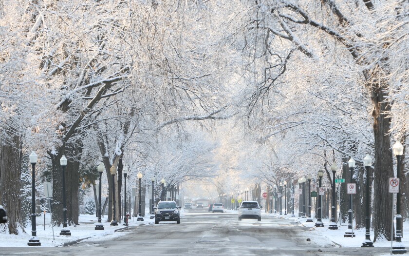 120321.N.FF.snow.jpg
