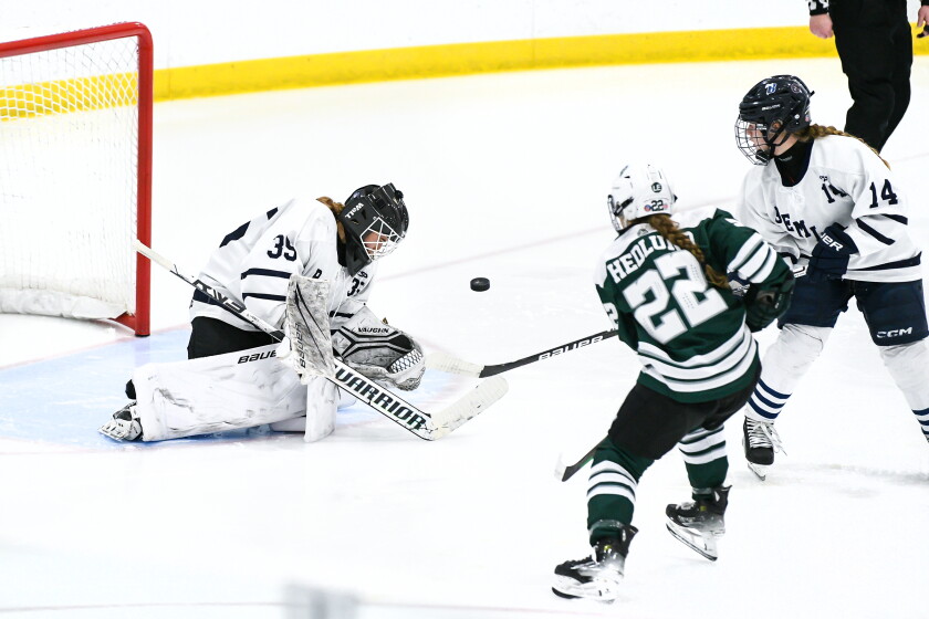 Lily Rupp Bemidji knocks off Roseau behind Lily Lauer’s 18 saves, Bailey Rupp’s ...