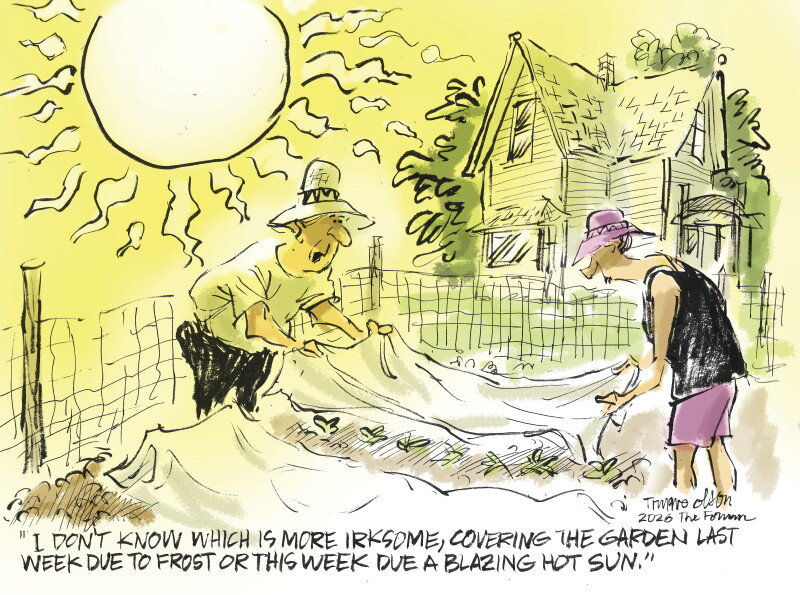 Trygve Olson cartoon: Garden covering