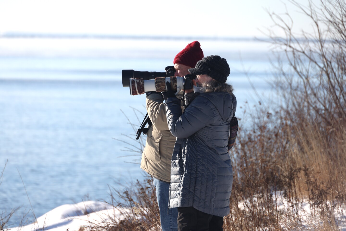 Photographers take photos of ducks on lake