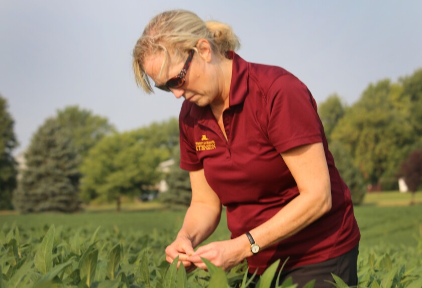 083120.AG.AGWEEKROWCROPTOURPates01.jpg