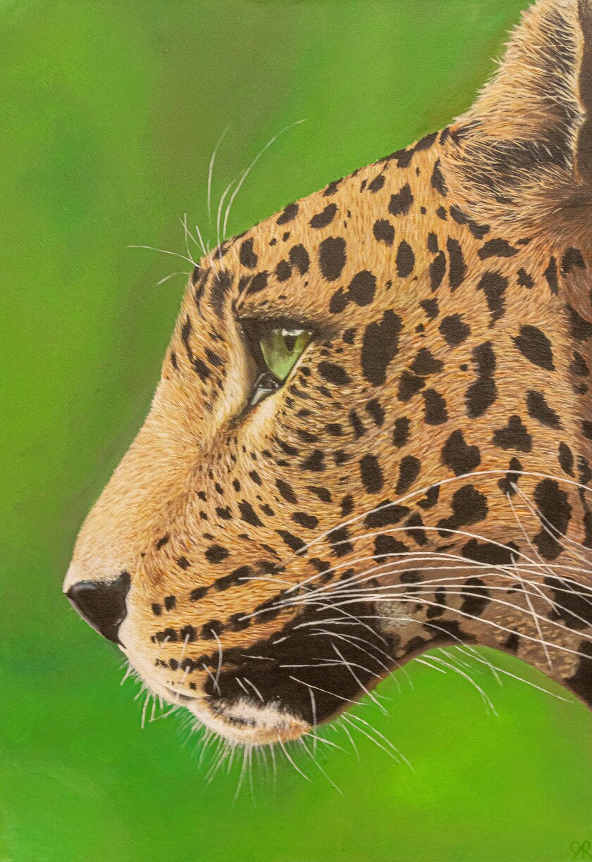 Joselyn Rinio (PL) Leopard