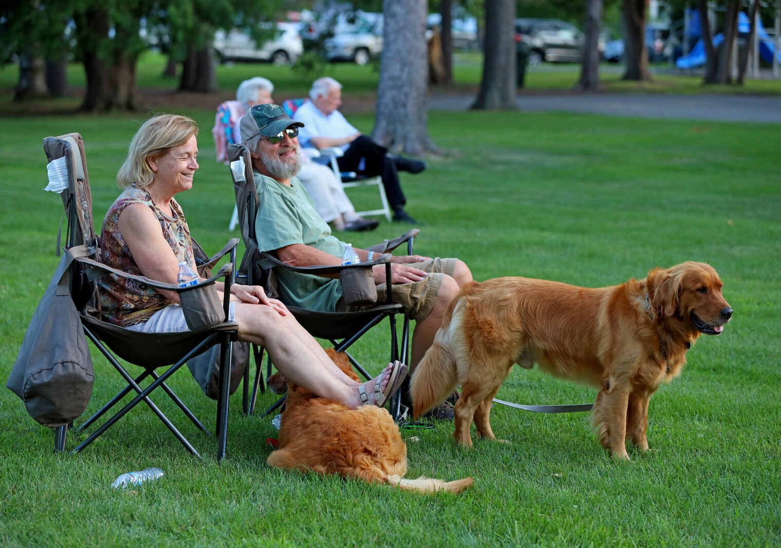 People enjoy a concert in the park