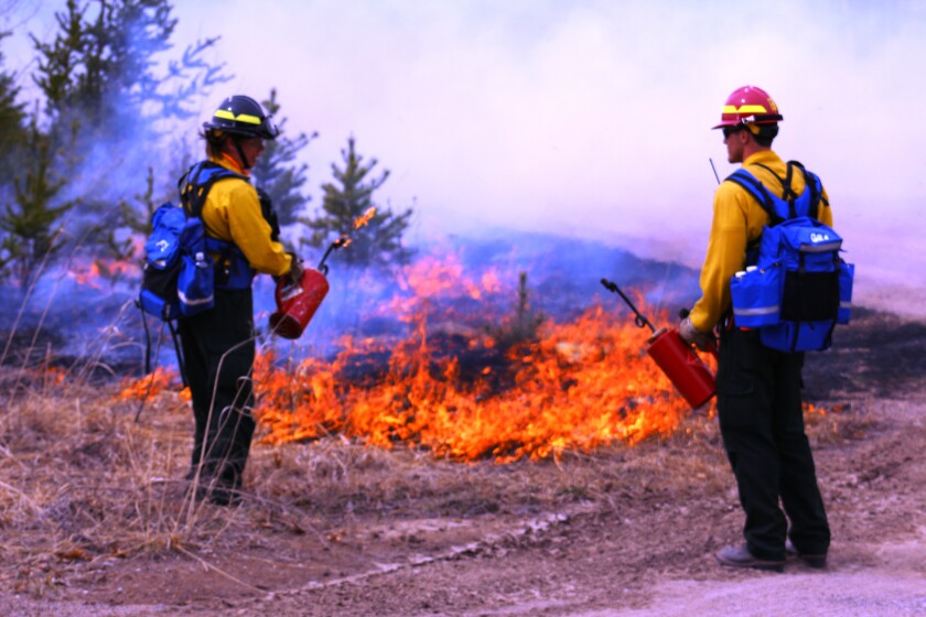 Minnesota DNR fire crew work on a controlled burn April 8 at Camp Ripley.Photo by Christi Powers/Minnesota Interagency Fire Center