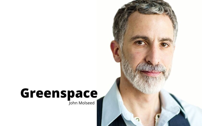 John Molseed "Greenspace" column sig