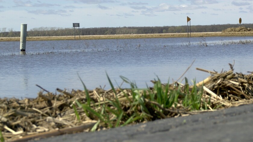 Corn stalks are washed up in a road ditch next to a flooded field.