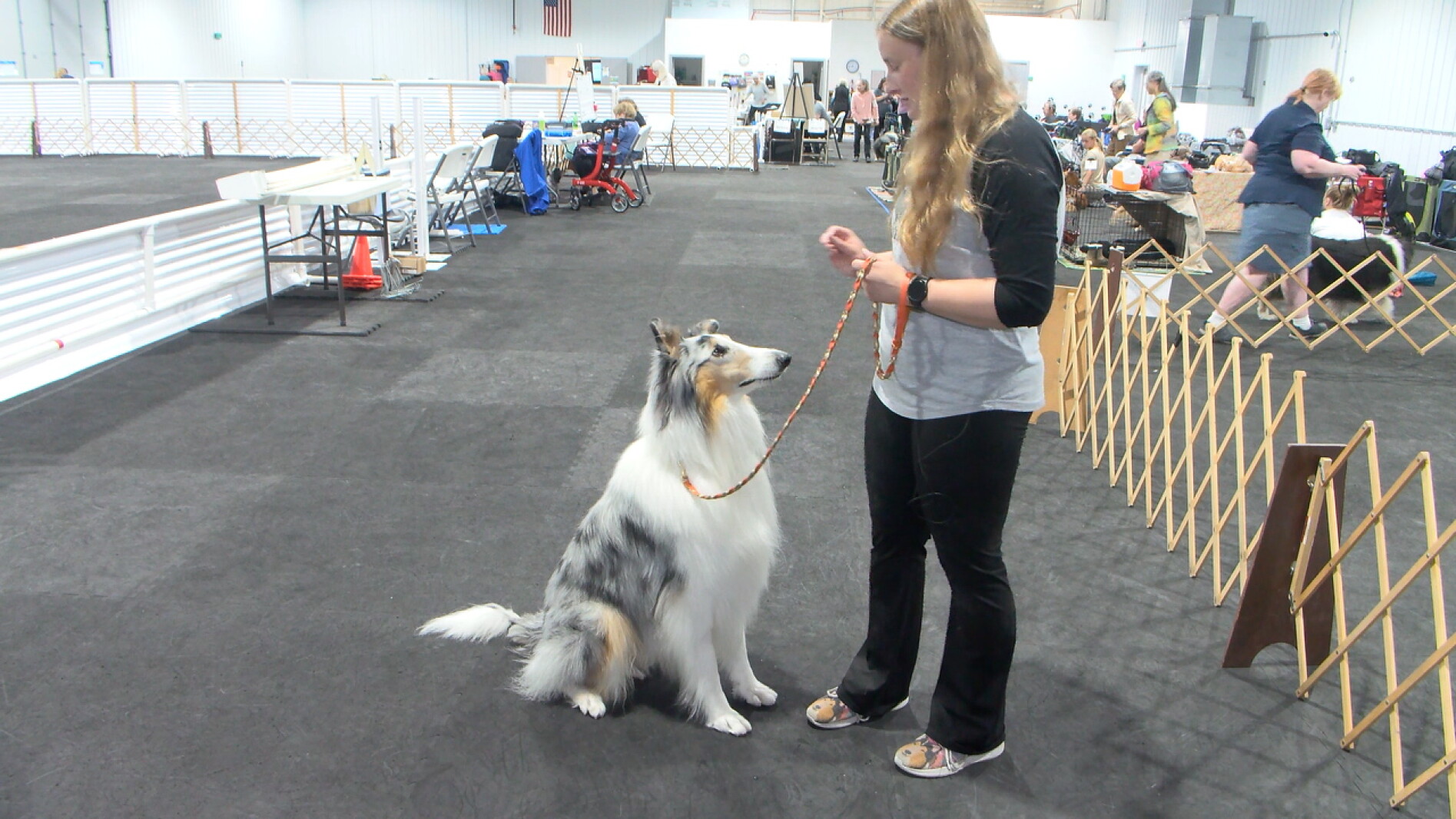 Dog owners showcase skills at Fargo obedience trials