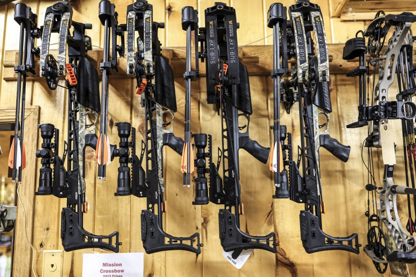 Mn Crossbow Regulations 2025