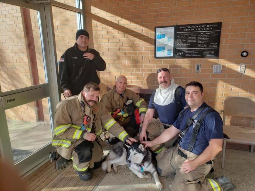 111820.N.DP.ICEDOG02.jpg