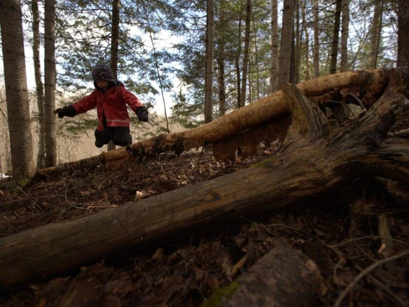 mproutdoorschool3.jpg