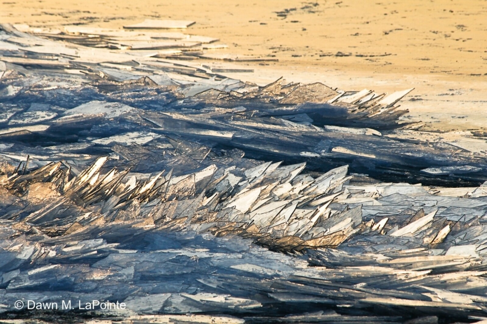Video of ice stacking at Brighton Beach draws millions of viewers ...
