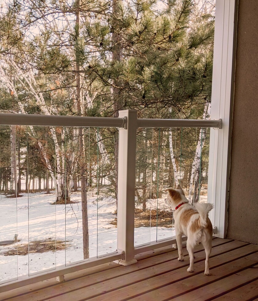 040420.N.PRE.RileyatPickerelLake.jpg