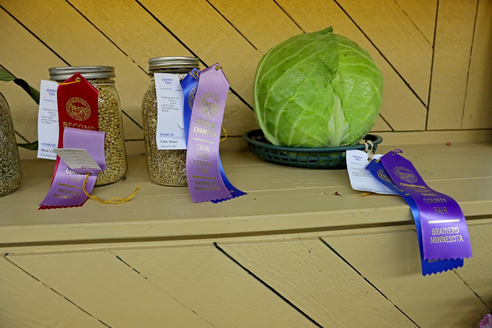 Crow Wing County Fair Aug. 2022.