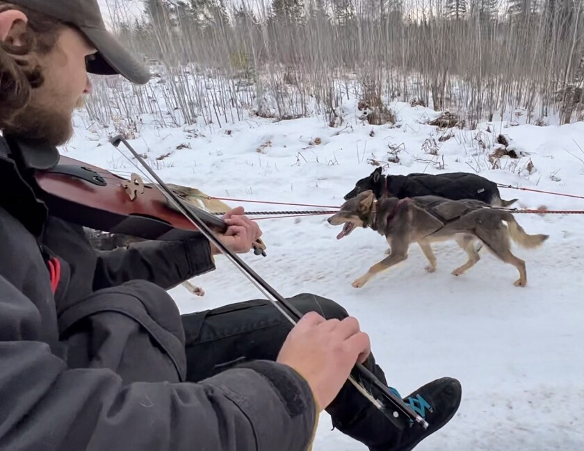 Vista lateral de un hombre tocando el violín mientras viaja en un vehículo por una carretera nevada. Al fondo aparecen perros de trineo enjaezados.