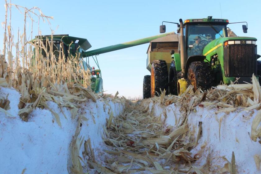 The Dirt on Crop Insurance