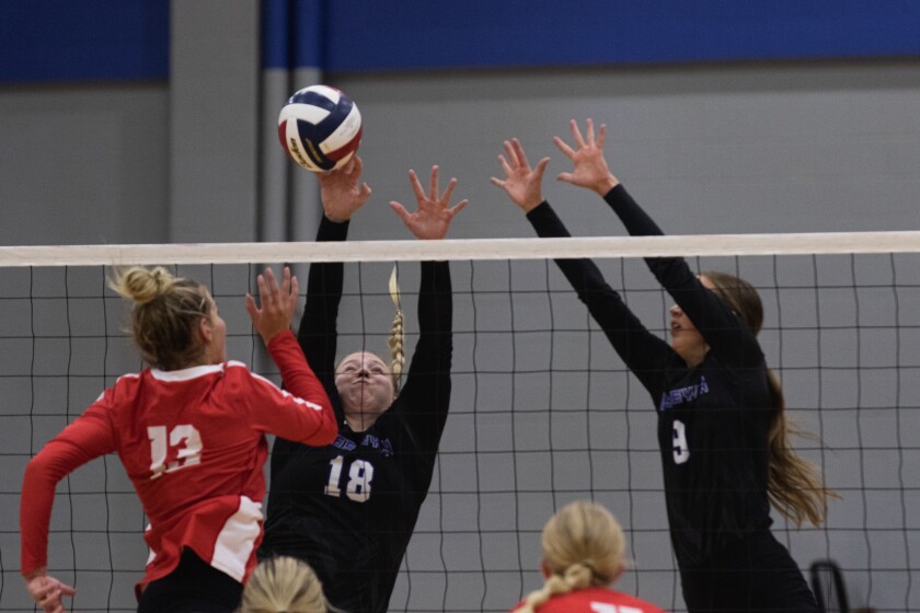 9-14-22VolleyballNorthwesternvsDWU-9.jpg