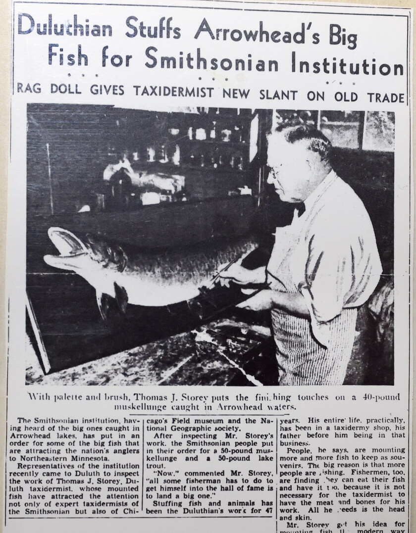 Tom Storey Shell A Minnesota taxidermist became a self-proclaimed healer. But his 'cures ...