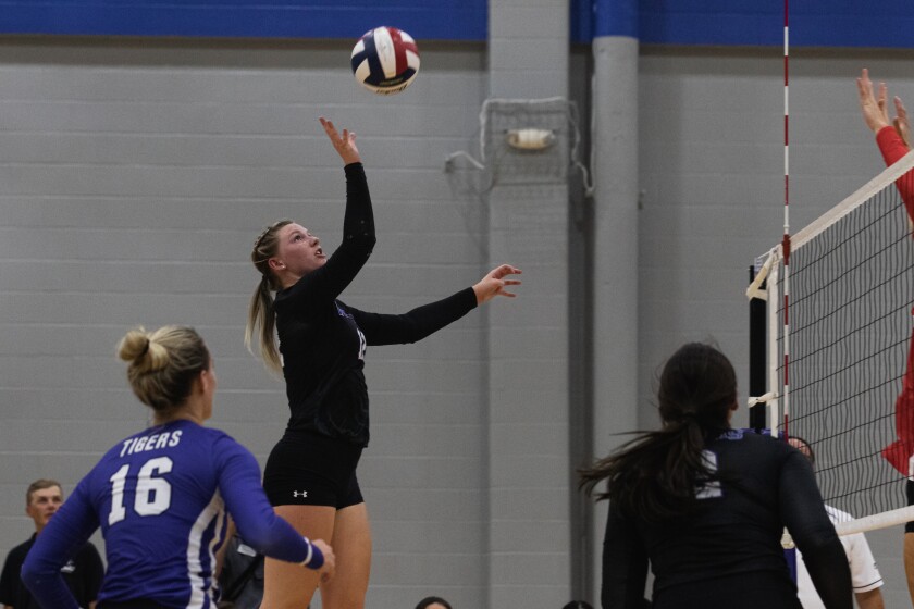 9-14-22VolleyballNorthwesternvsDWU-23.jpg