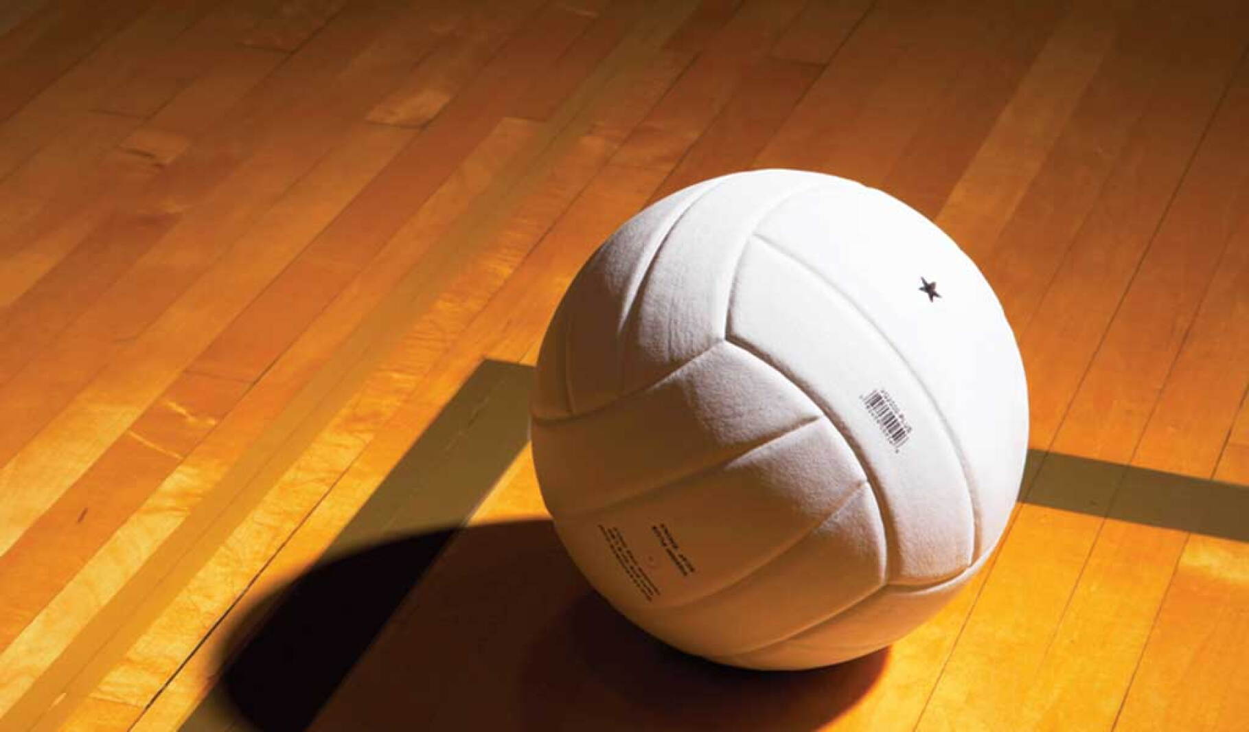 Voleibol de área: los Hornets arrasan en Alexandria
