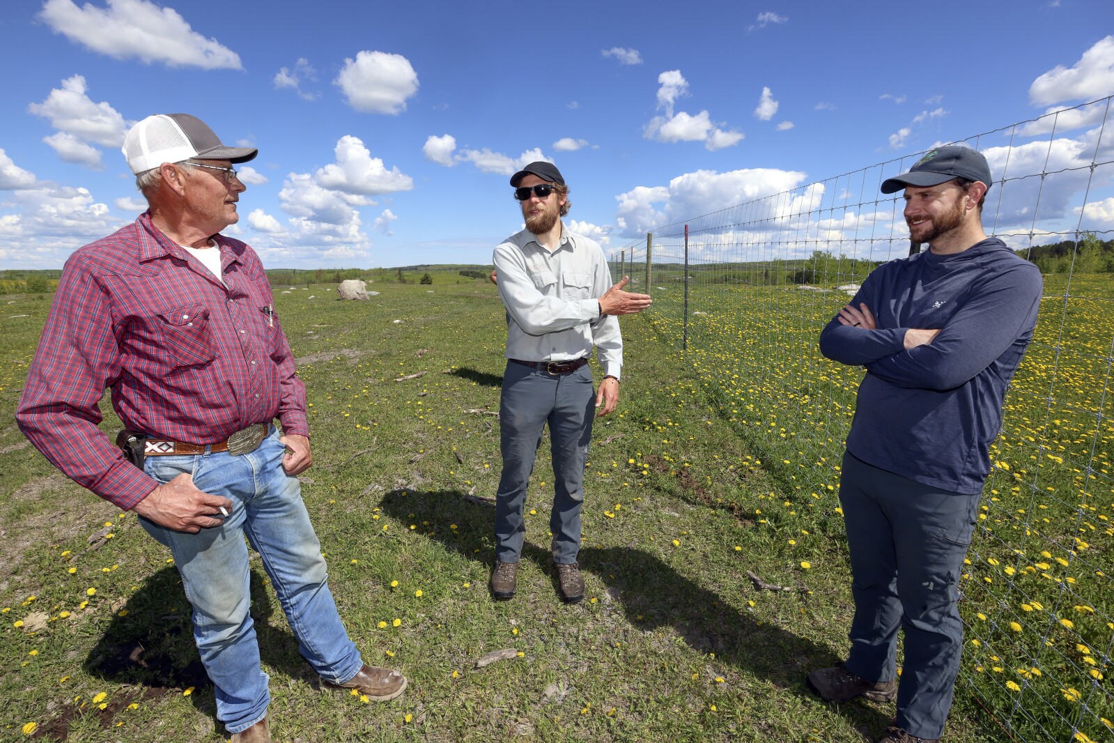 A fence around this northern Minnesota cattle ranch may keep both ...