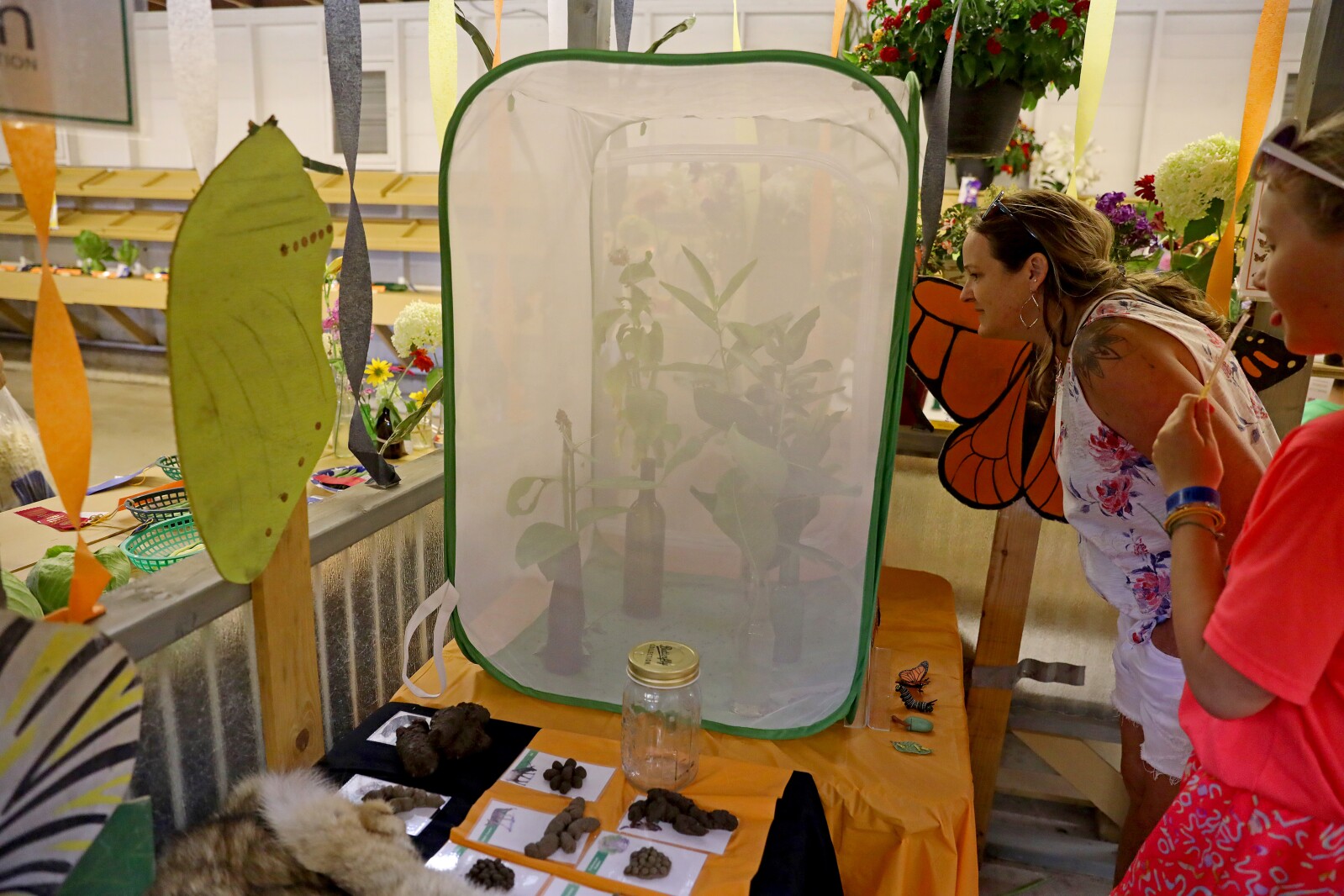 Crow Wing County Fair Aug. 2022.