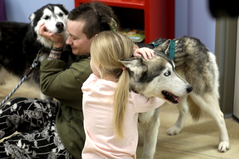 A young girl and adult hugging dogs at an event.