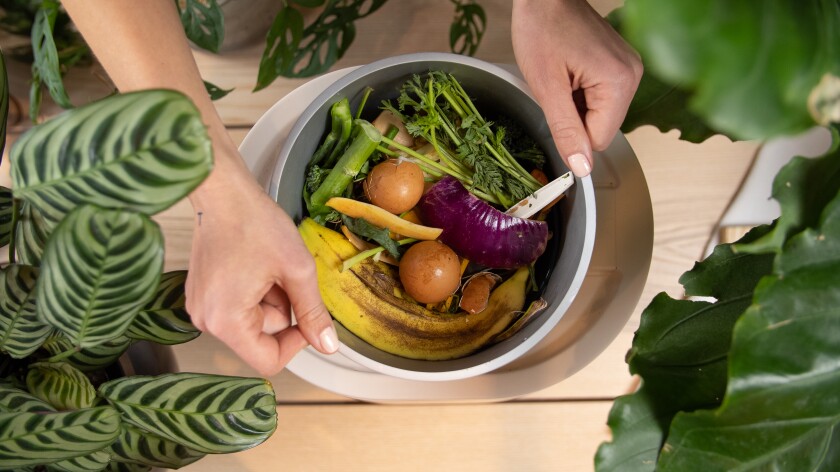 Food scraps are shown inside a Lomi container. 