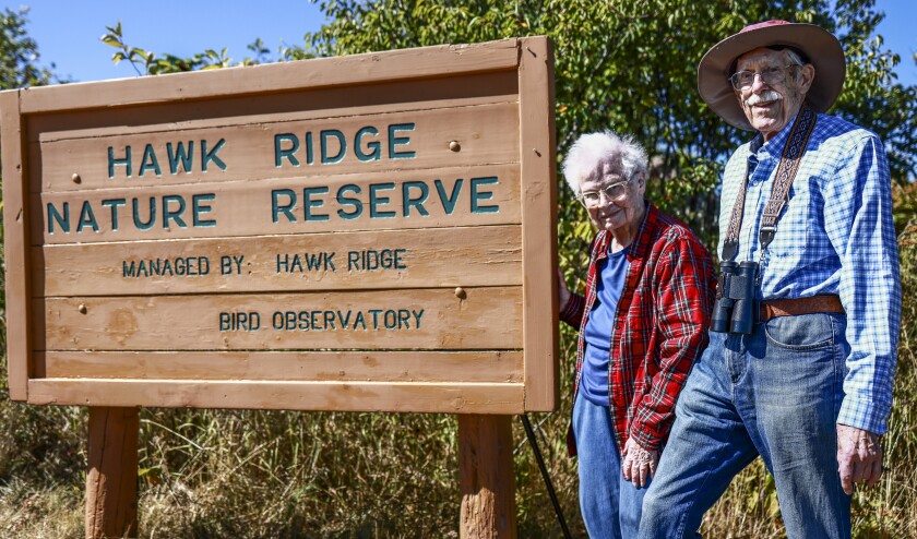 Duluth’s Hawk Ridge set to welcome influx of birds, humans - Duluth ...