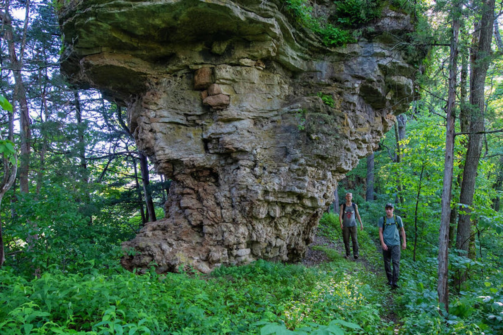 Hunting for 'cabbage rocks' in the Driftless region - Post Bulletin ...