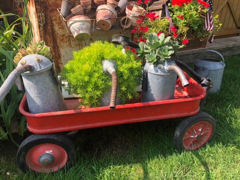 Watering cans, tools and containers for plants and more all found at The Backyard Flea, with Carol & David Thouin, Spring Valley..jpg