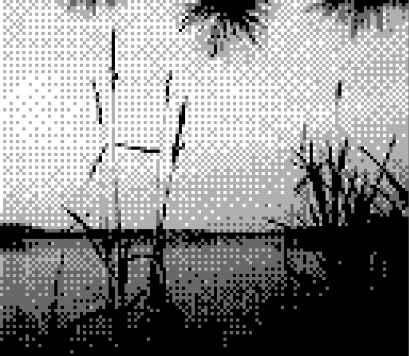 GBC 02 copy.jpg