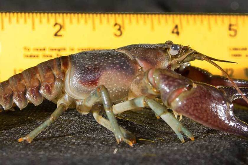 0000017e-27c4-d7cf-abff-77cdaf1f002f - Mitchell Republic | News ...