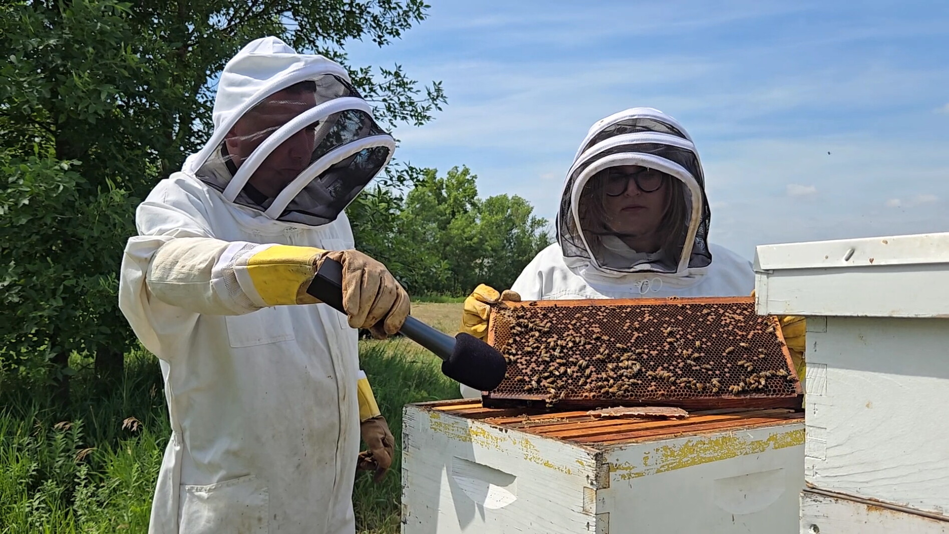 All the Buzz: Pair makes music at the beehive, recording sounds used in compositions performed locally