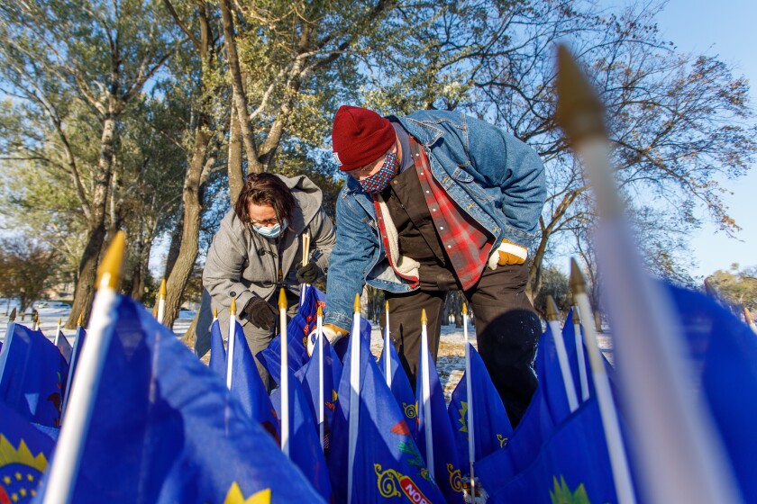 Flags-BIS-010.jpg