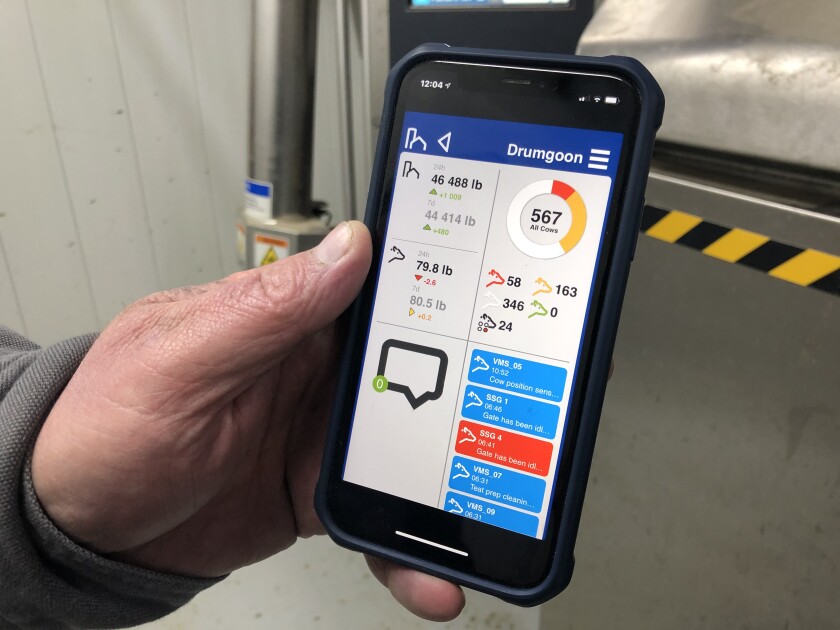 Rodney phone milking app.jpg