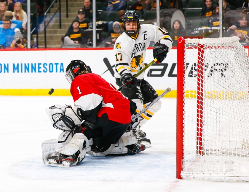 Warroad vs Monticello_1793.jpg