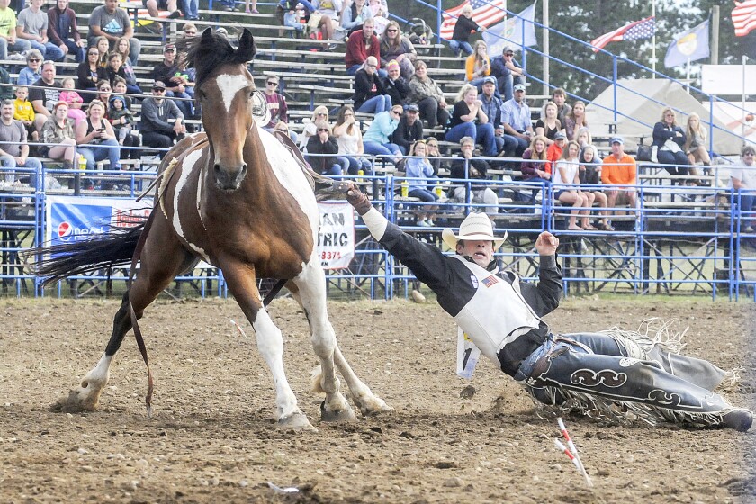 Park Rapids rodeo weekend continues with two nights of bull riding ...
