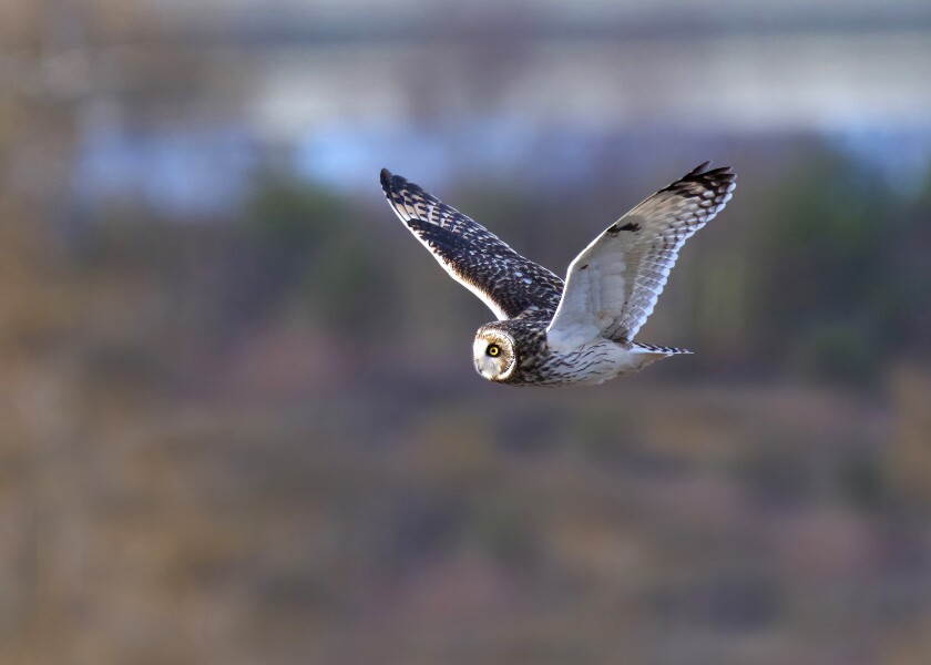 GeneStukelPhotography_DSC8220_2.jpeg