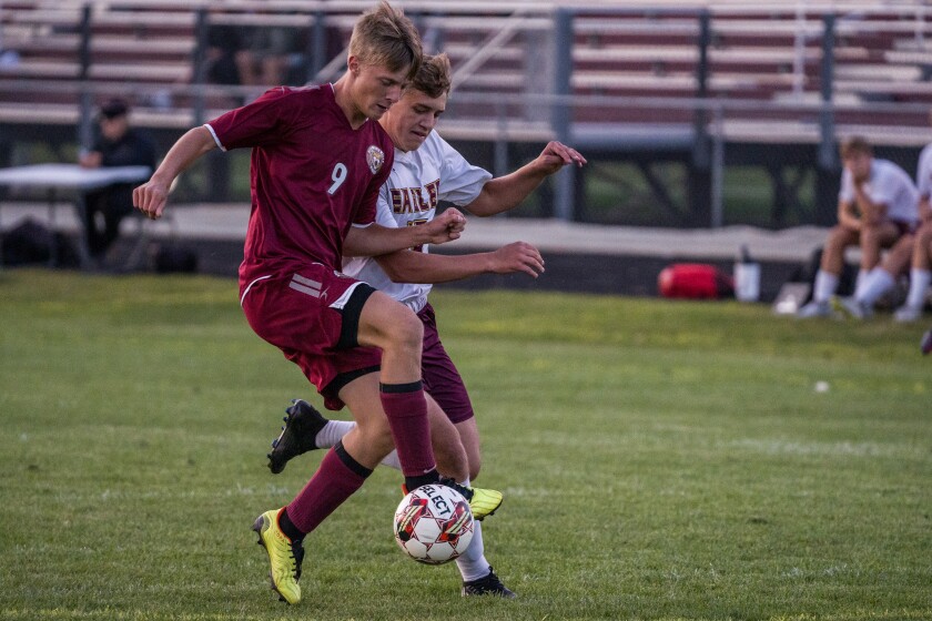 Stewartville, Dover-Eyota boys soccer