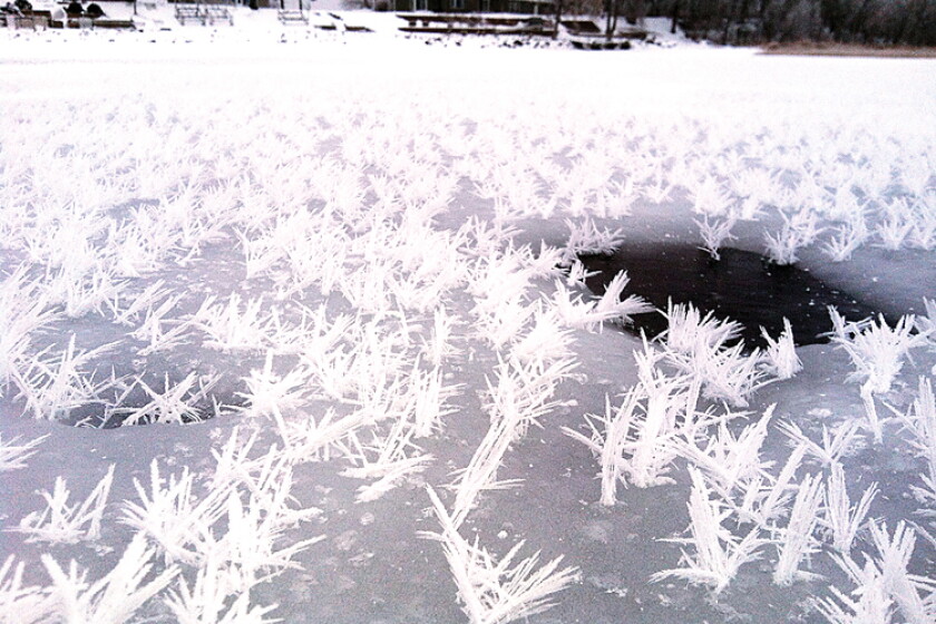 Ice Flower Issue 'Ice flowers' bloom on Minnesota lake - Duluth News Tribune | News ...