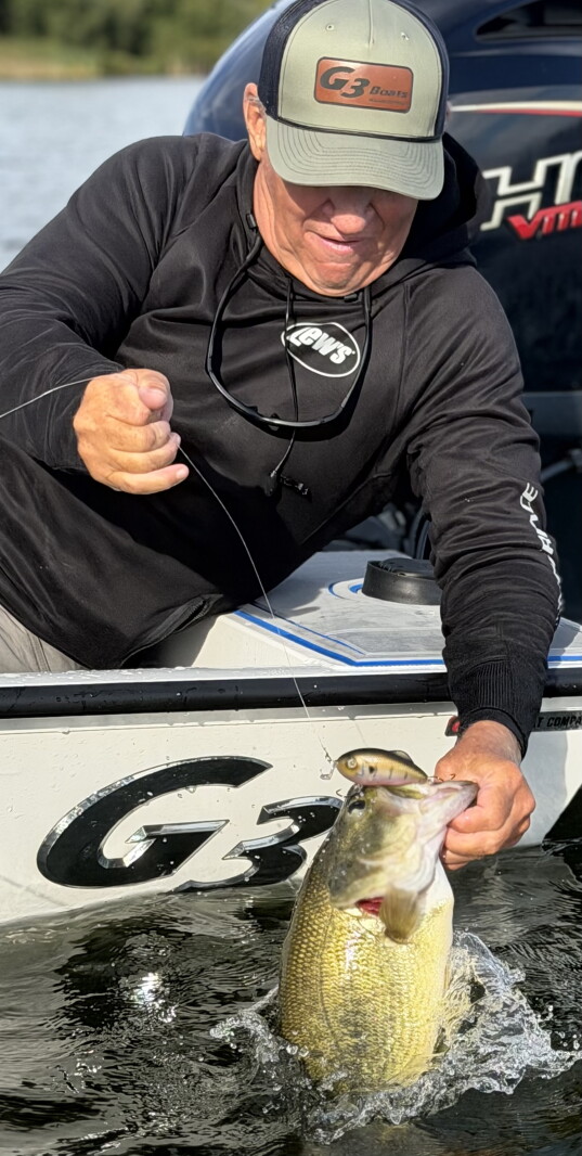Mike Frisch: Aggressive baits for more fall fishing success