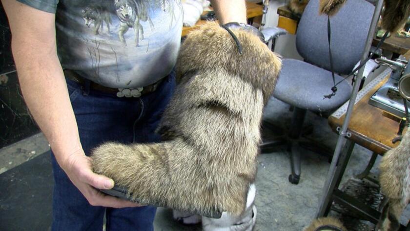 raccoonmukluk.jpg
