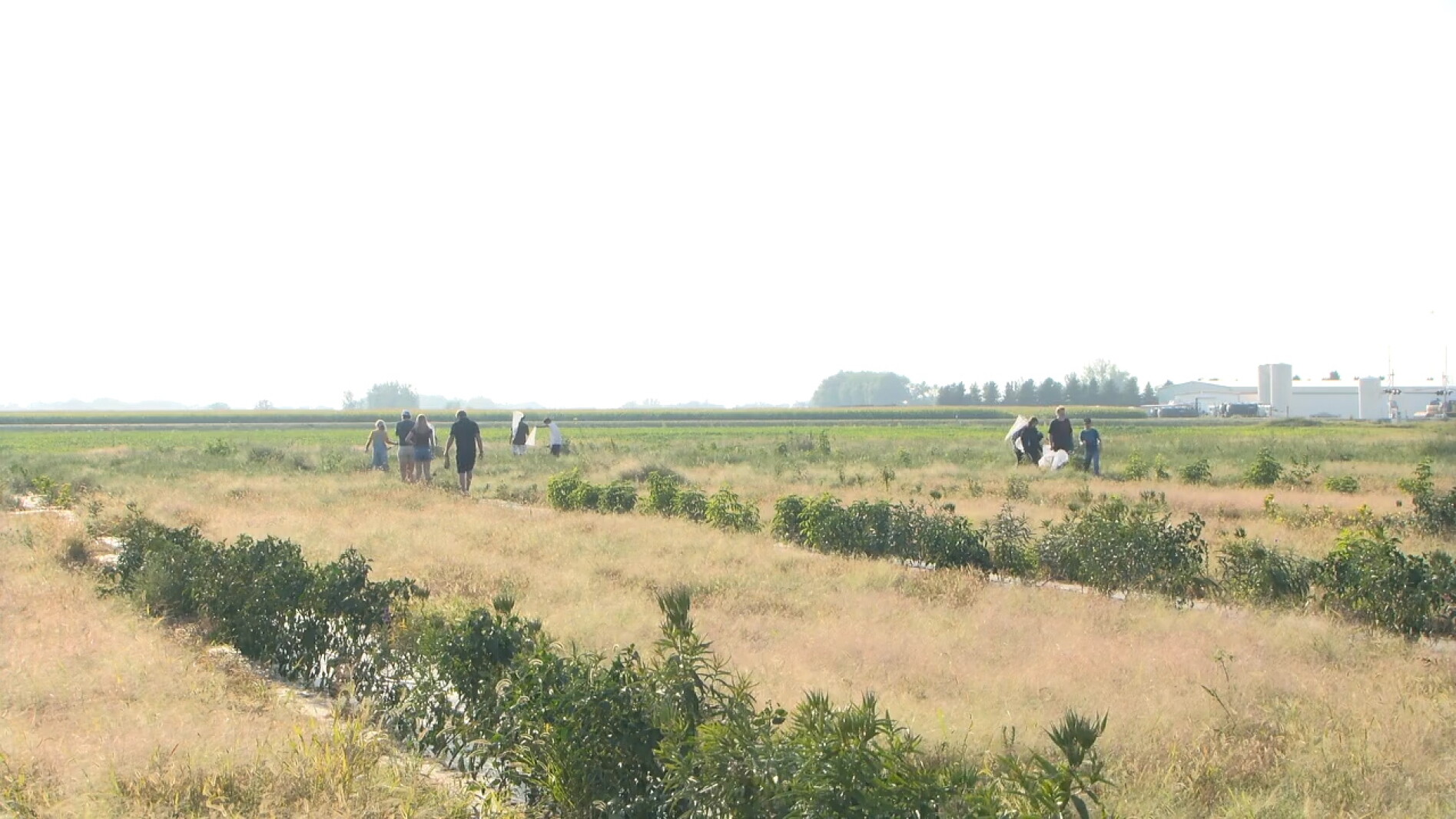 DGF students help restore prairie near their school